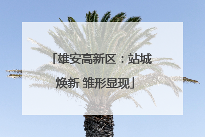 雄安高新区：站城焕新 雏形显现