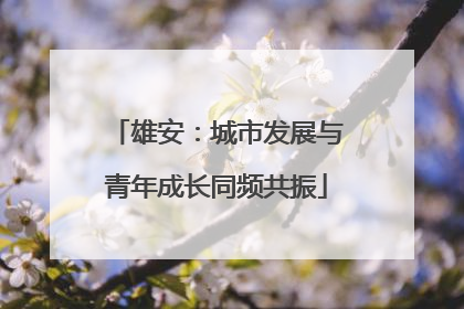 雄安：城市发展与青年成长同频共振
