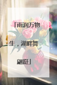 雨润万物生，湖畔舞翩跹