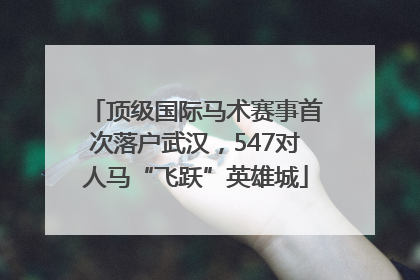 顶级国际马术赛事首次落户武汉，547对人马“飞跃”英雄城
