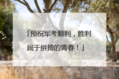 预祝军考顺利，胜利属于拼搏的青春！