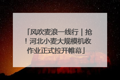 风吹麦浪一线行｜抢！河北小麦大规模机收作业正式拉开帷幕