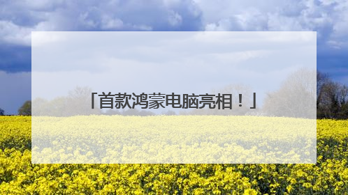 首款鸿蒙电脑亮相！