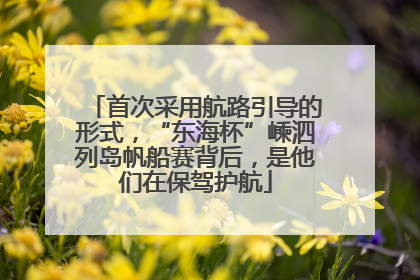 首次采用航路引导的形式，“东海杯”嵊泗列岛帆船赛背后，是他们在保驾护航