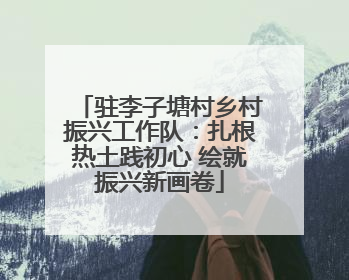 驻李子塘村乡村振兴工作队：扎根热土践初心 绘就振兴新画卷
