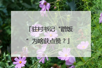 驻村书记“蹭饭”为啥获点赞？