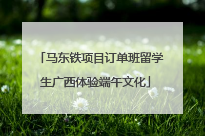 马东铁项目订单班留学生广西体验端午文化
