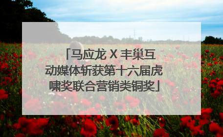 马应龙 X 丰巢互动媒体斩获第十六届虎啸奖联合营销类铜奖