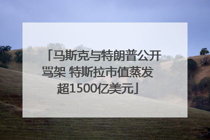 马斯克与特朗普公开骂架 特斯拉市值蒸发超1500亿美元