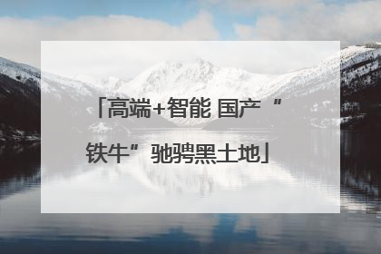 高端+智能 国产“铁牛”驰骋黑土地