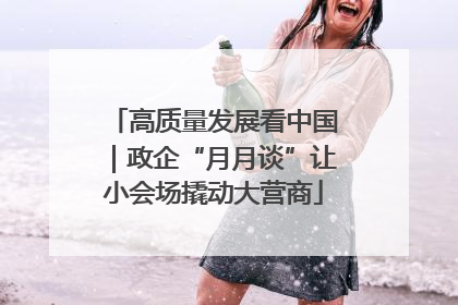 高质量发展看中国｜政企“月月谈”让小会场撬动大营商