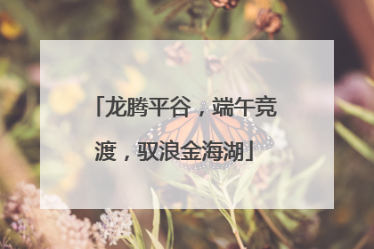 龙腾平谷，端午竞渡，驭浪金海湖