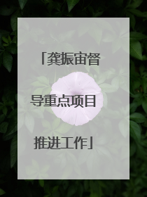 龚振宙督导重点项目推进工作