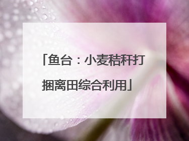 鱼台：小麦秸秆打捆离田综合利用
