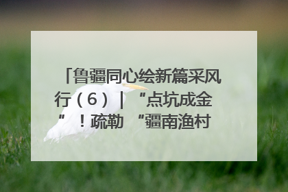 鲁疆同心绘新篇采风行（6）｜“点坑成金”！疏勒 “疆南渔村” 从废弃坑塘变身全国垂钓胜地