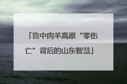 鲁中肉羊高原“零伤亡”背后的山东智慧