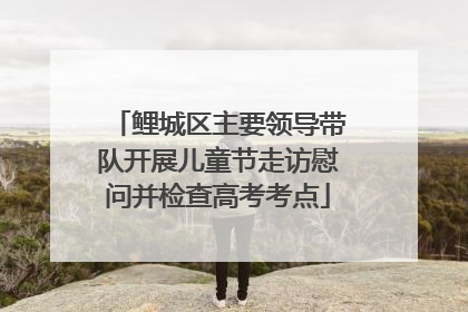 鲤城区主要领导带队开展儿童节走访慰问并检查高考考点