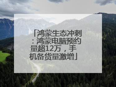 鸿蒙生态冲刺：鸿蒙电脑预约量超12万，手机备货量激增