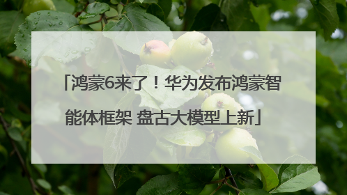 鸿蒙6来了！华为发布鸿蒙智能体框架 盘古大模型上新
