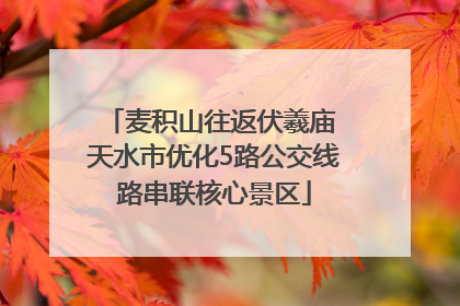 麦积山往返伏羲庙 天水市优化5路公交线路串联核心景区