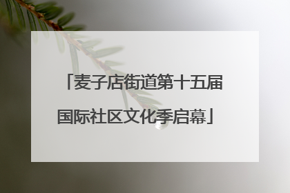 麦子店街道第十五届国际社区文化季启幕