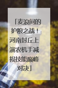 麦浪间的护粮之战！河南封丘上演农机手减损技能巅峰对决