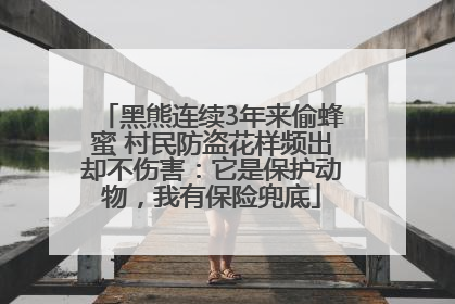 黑熊连续3年来偷蜂蜜 村民防盗花样频出却不伤害：它是保护动物，我有保险兜底