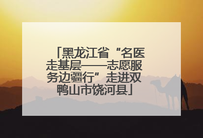 黑龙江省“名医走基层——志愿服务边疆行”走进双鸭山市饶河县