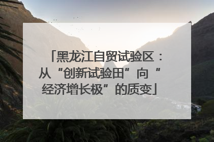 黑龙江自贸试验区：从“创新试验田”向“经济增长极”的质变