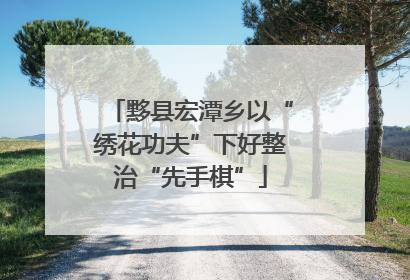黟县宏潭乡以“绣花功夫”下好整治“先手棋”
