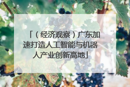 （经济观察）广东加速打造人工智能与机器人产业创新高地