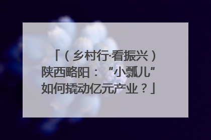 （乡村行·看振兴）陕西略阳：“小瓢儿”如何撬动亿元产业？