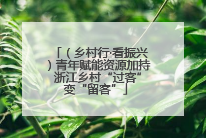（乡村行·看振兴）青年赋能资源加持 浙江乡村“过客”变“留客”