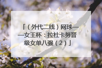 （外代二线）网球——女王杯：拉杜卡努晋级女单八强（2）