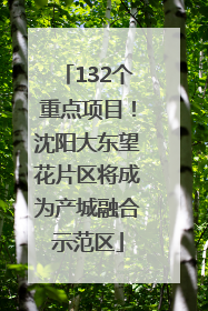 132个重点项目！沈阳大东望花片区将成为产城融合示范区