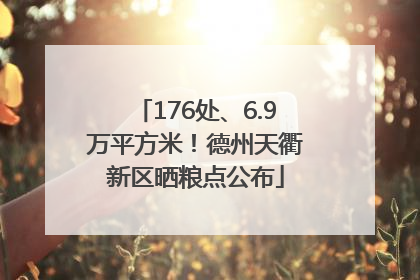 176处、6.9万平方米！德州天衢新区晒粮点公布