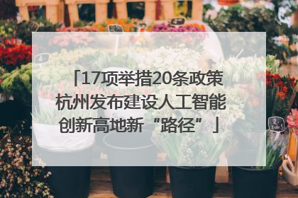 17项举措20条政策 杭州发布建设人工智能创新高地新“路径”