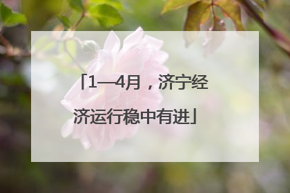 1—4月，济宁经济运行稳中有进