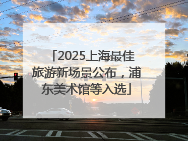 2025上海最佳旅游新场景公布，浦东美术馆等入选