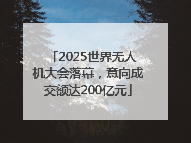 2025世界无人机大会落幕，意向成交额达200亿元