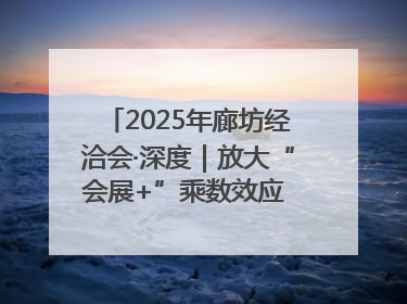 2025年廊坊经洽会·深度｜放大“会展+”乘数效应 打造消费新场景