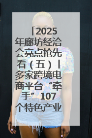 2025年廊坊经洽会亮点抢先看（五）丨多家跨境电商平台“牵手”107个特色产业集群
