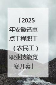 2025年安徽省重点工程职工（农民工）职业技能竞赛开幕