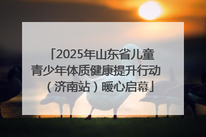 2025年山东省儿童青少年体质健康提升行动（济南站）暖心启幕