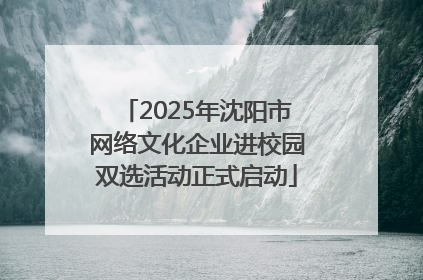 2025年沈阳市网络文化企业进校园双选活动正式启动
