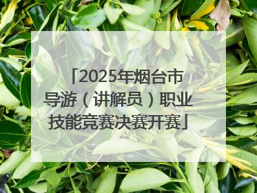 2025年烟台市导游（讲解员）职业技能竞赛决赛开赛