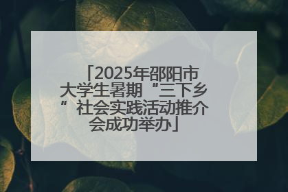 2025年邵阳市大学生暑期“三下乡”社会实践活动推介会成功举办
