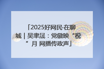 2025好网民·在聊城｜吴聿晟：党徽映“税”月 网播传政声