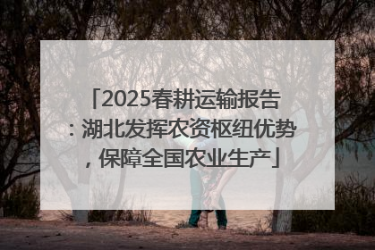 2025春耕运输报告：湖北发挥农资枢纽优势，保障全国农业生产