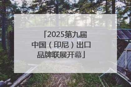 2025第九届中国（印尼）出口品牌联展开幕